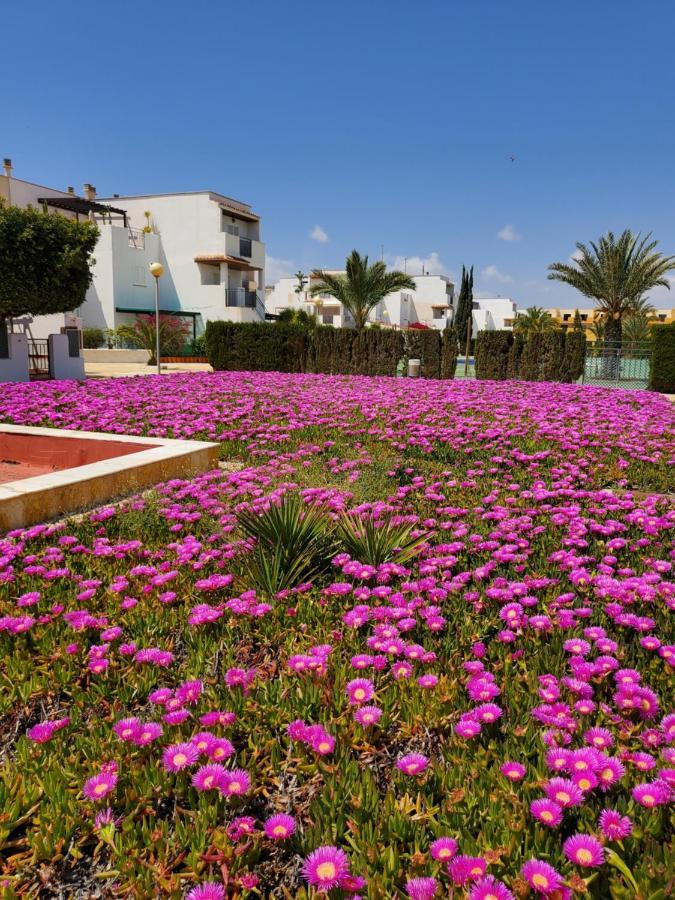 Duplex Espectacular En Primera Linea Naturista! Las Bombardas Eksteriør bilde